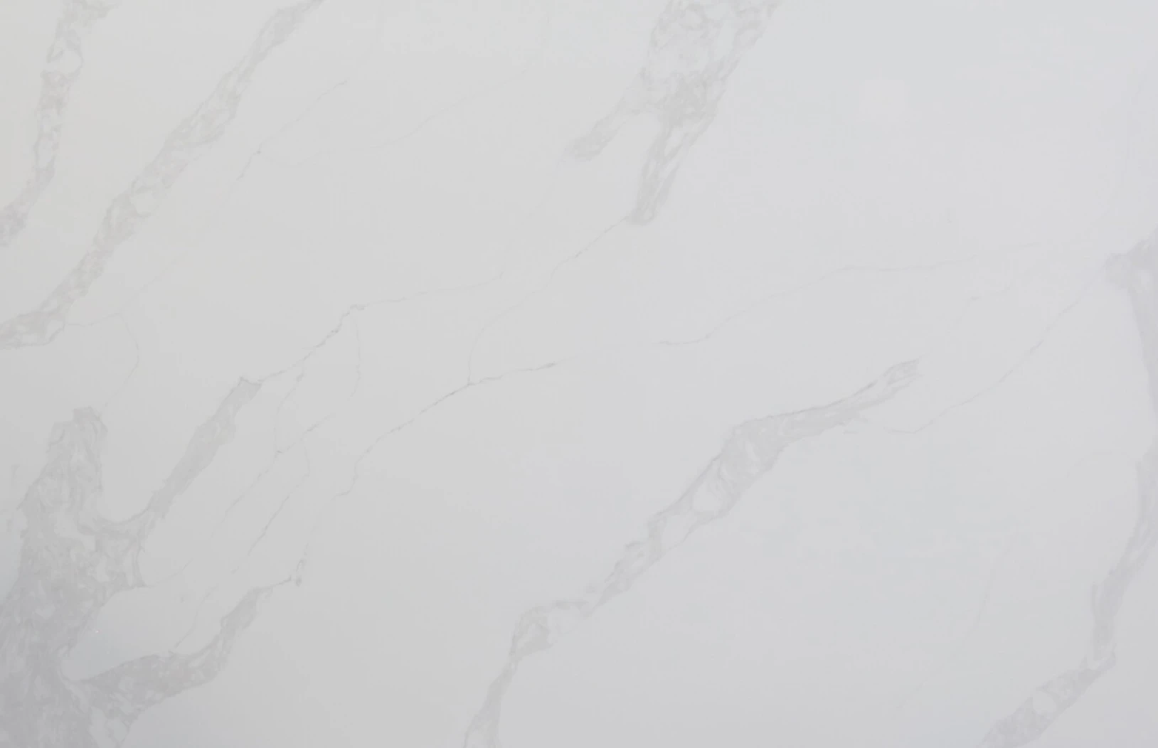 Bianco Bella